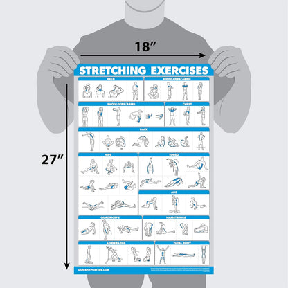 Bodyweight Workouts and Stretching Exercise Poster Laminated 2 Chart Set Body